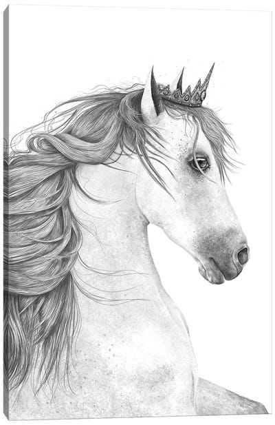 The Queen Horse Canvas Art Print - Valeriya Korenkova