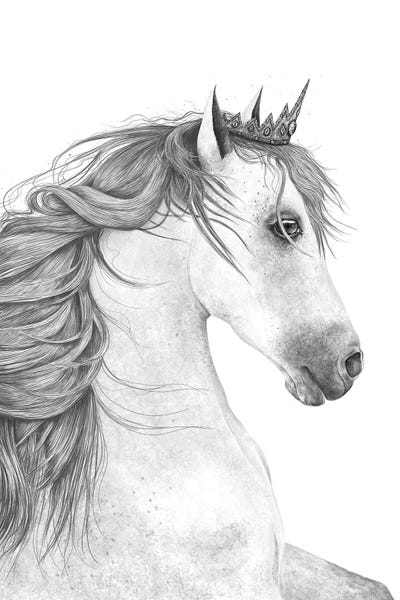 Black & White Drawings & Illustrations: The Queen Horse by Valeriya Korenkova