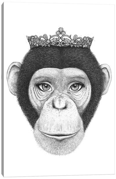 The Queen Monkey Canvas Art Print - Monkey Art