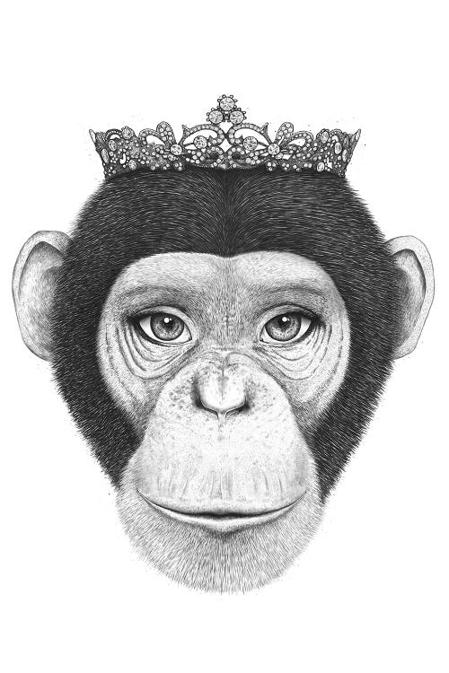 The Queen Monkey by Valeriya Korenkova wall art