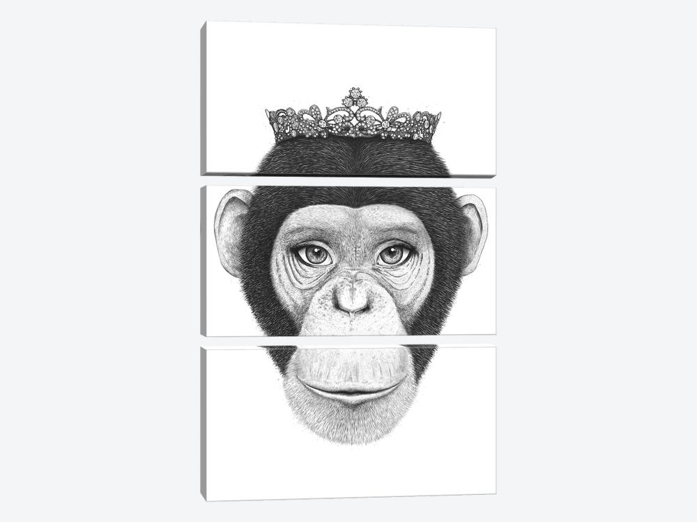 The Queen Monkey by Valeriya Korenkova 3-piece Canvas Artwork