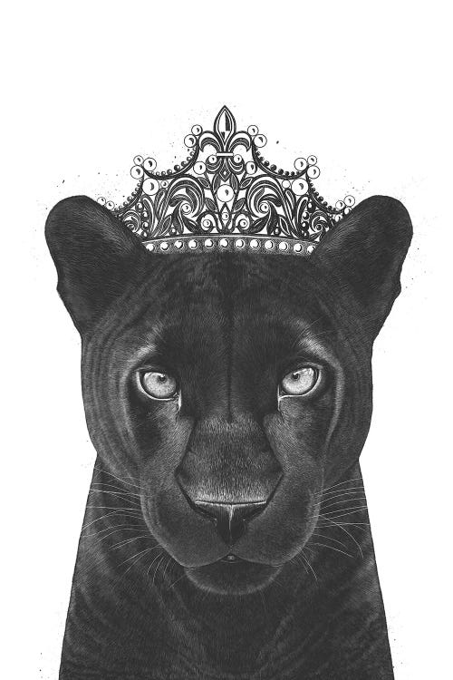 The Queen Panther