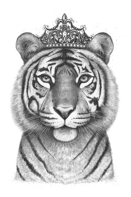 The Tigress Queen