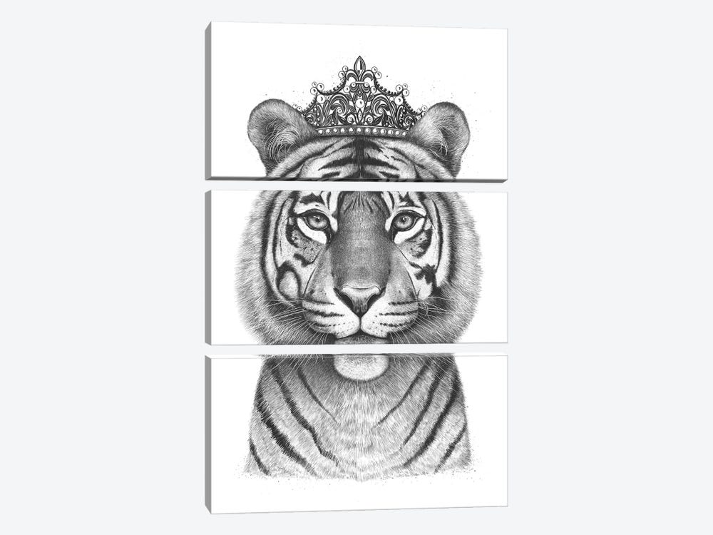 The Tigress Queen by Valeriya Korenkova 3-piece Canvas Art Print