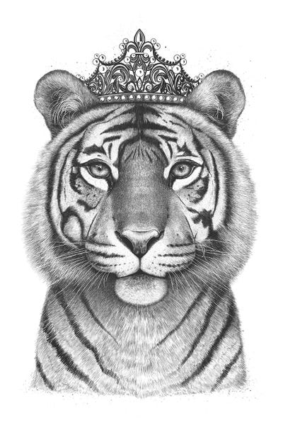 Tigers: The Tigress Queen by Valeriya Korenkova