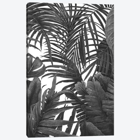 Tropical Jungle Canvas Print #VAK77} by Valeriya Korenkova Art Print