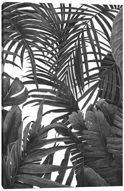 Tropical Jungle Canvas Art Print
