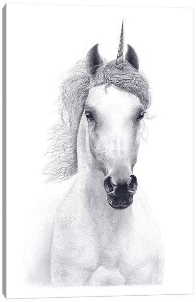 White Unicorn Canvas Art Print - Valeriya Korenkova