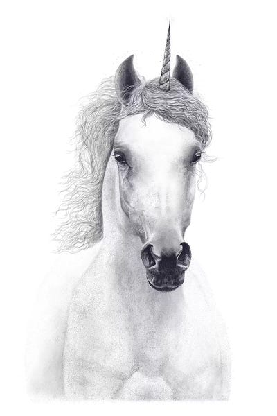 Black & White Drawings & Illustrations: White Unicorn by Valeriya Korenkova