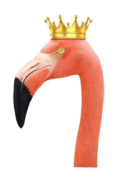 Crowns: King Flamingo by Valeriya Korenkova