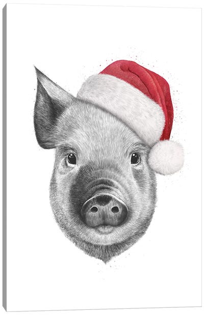 Christmas Pig Canvas Art Print - Christmas Animal Art