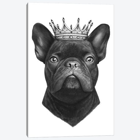 King French Bulldog Canvas Print #VAK8} by Valeriya Korenkova Canvas Wall Art