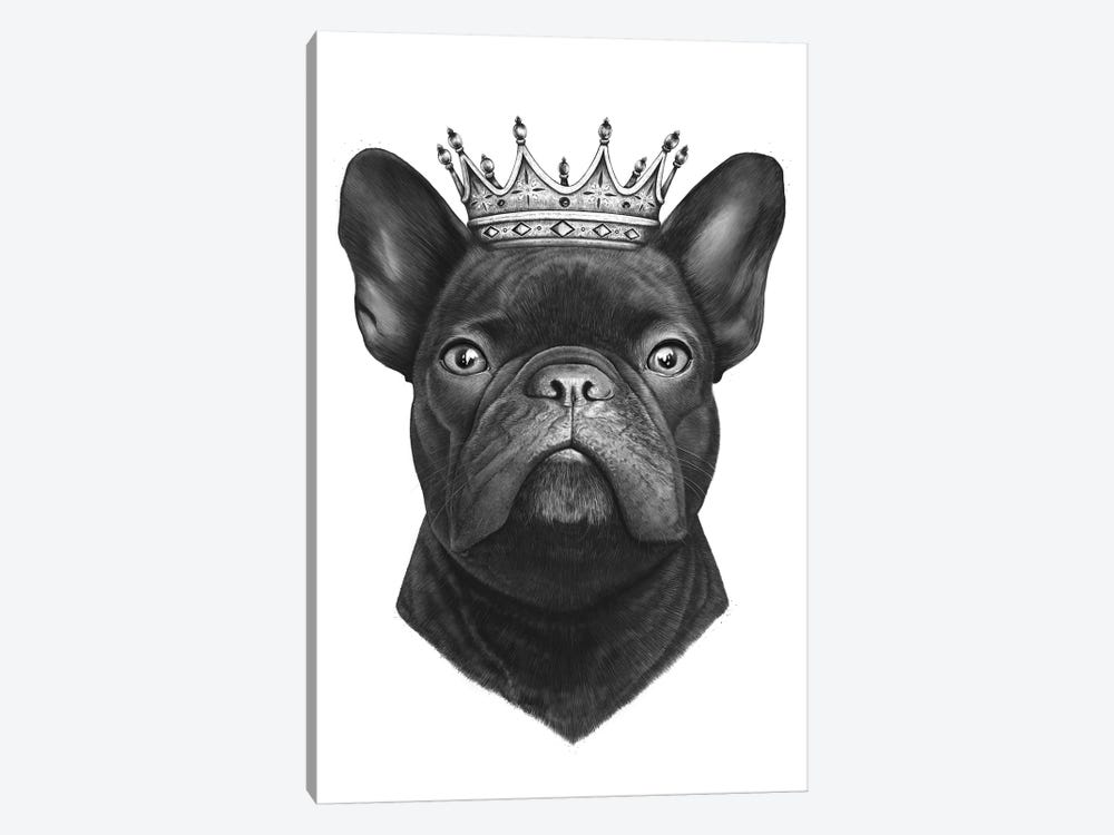 King French Bulldog by Valeriya Korenkova 1-piece Canvas Print