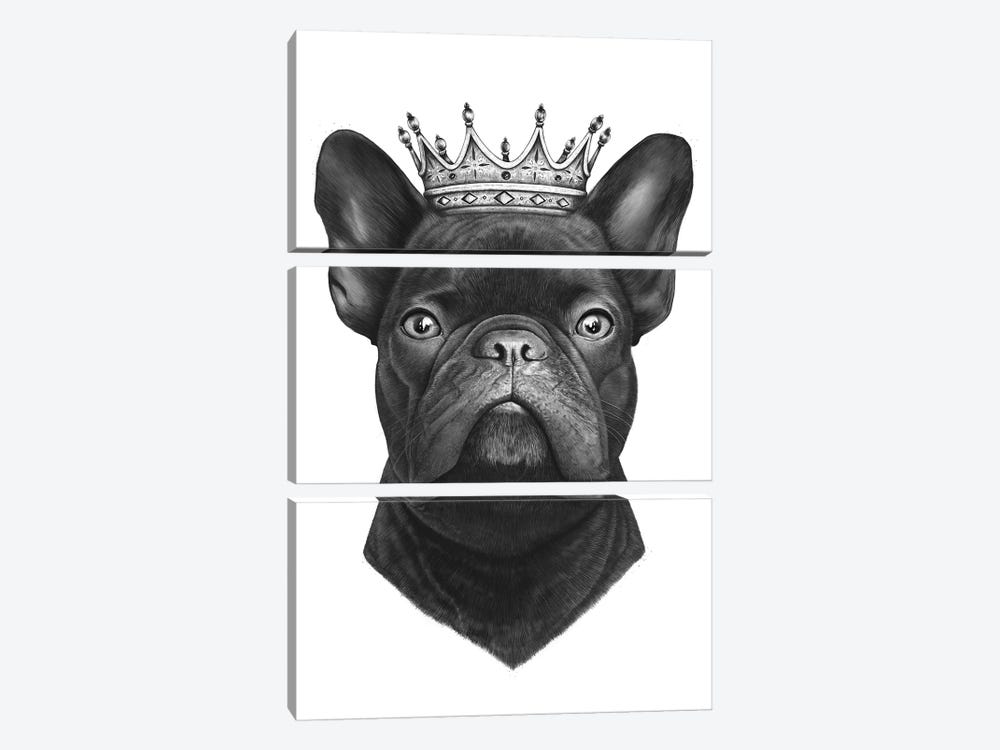 King French Bulldog by Valeriya Korenkova 3-piece Art Print