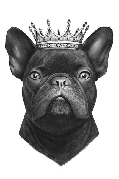French Bulldogs: King French Bulldog by Valeriya Korenkova