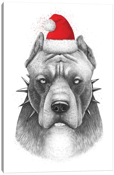 Christmas Pitbull Canvas Art Print - Valeriya Korenkova