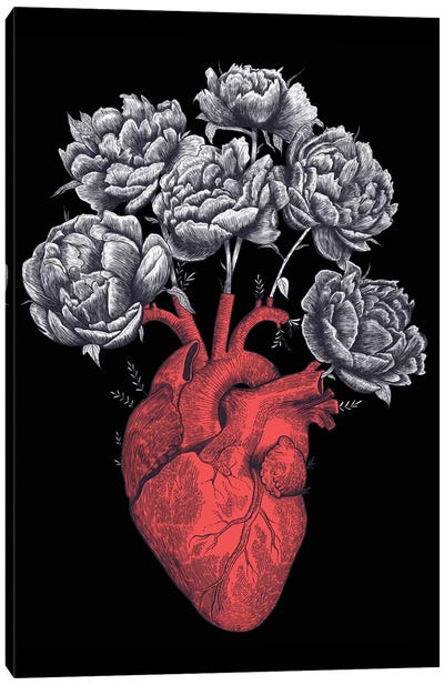 Heart With Peonies On Black Canvas Art Print - Peony Art