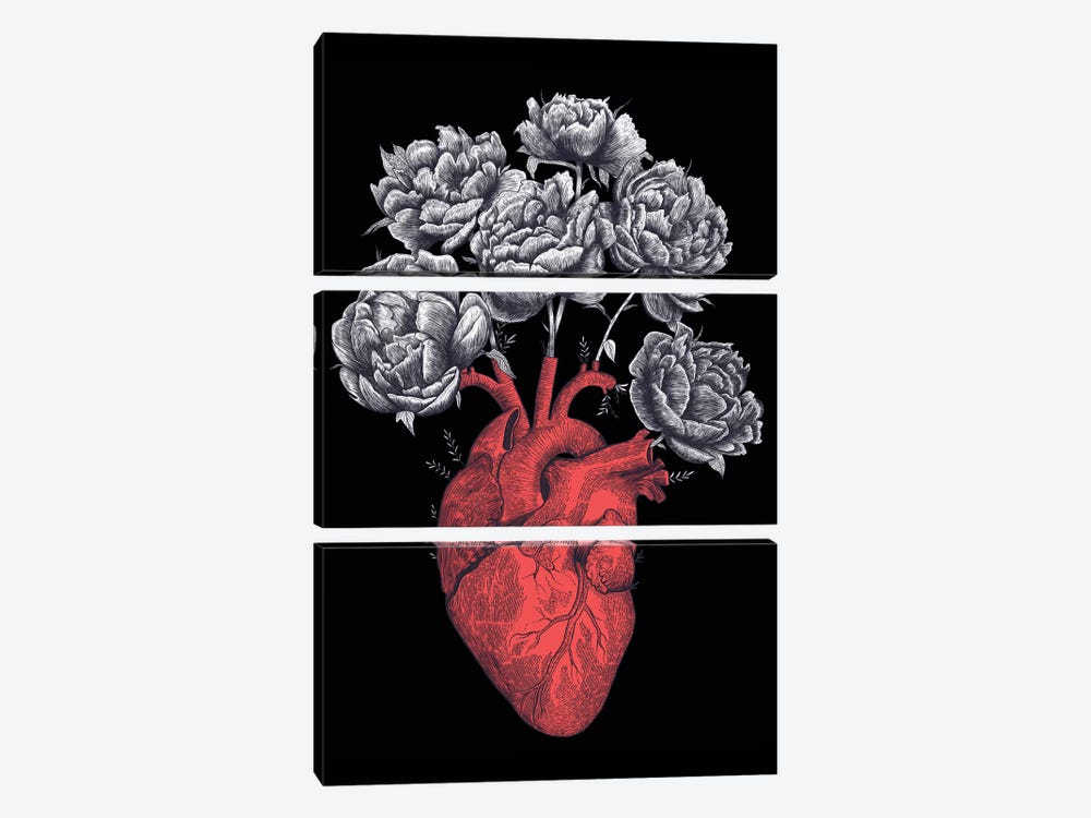 Heart With Peonies On Black by Valeriya Korenkova 3-piece Art Print