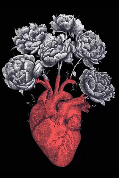 Hearts: Heart With Peonies On Black by Valeriya Korenkova