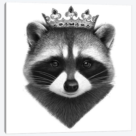 King Raccoon Canvas Print #VAK9} by Valeriya Korenkova Canvas Artwork