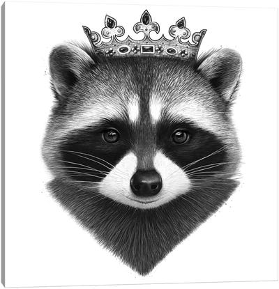 King Raccoon Canvas Art Print - Valeriya Korenkova