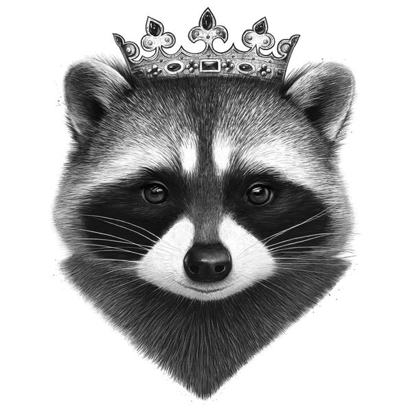 Crowns: King Raccoon by Valeriya Korenkova