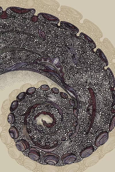 Octopi: Tentacula by Valentina Harper