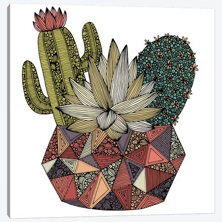 Cactus Canvas Print #VAL480} by Valentina Harper Art Print