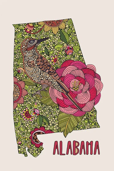 Kids Map Art: Alabama - State Bird And flower by Valentina Harper