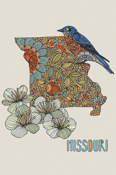 Kids Map Art: Missouri - State Bird And Flower by Valentina Harper