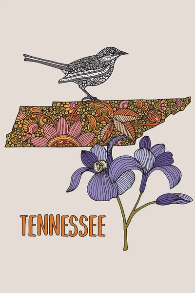 Kids Map Art: Tennessee - State Bird And Flower by Valentina Harper
