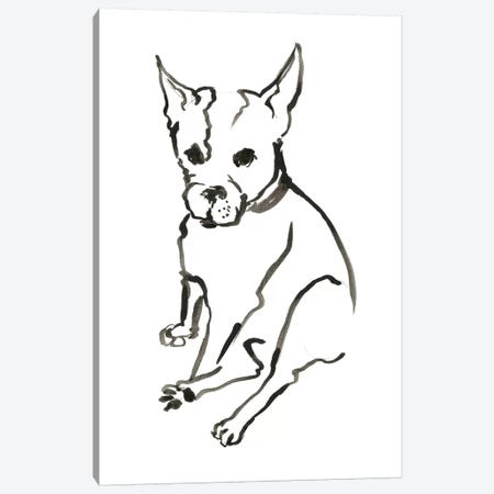 WAG: The Dog VIII Canvas Print #VBI10} by Vanessa Binder Canvas Artwork