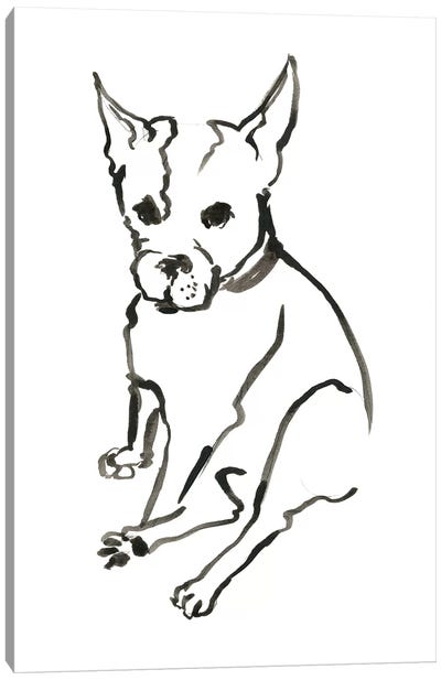 WAG: The Dog VIII Canvas Art Print