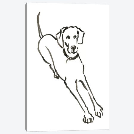 WAG: The Dog II Canvas Print #VBI4} by Vanessa Binder Canvas Art