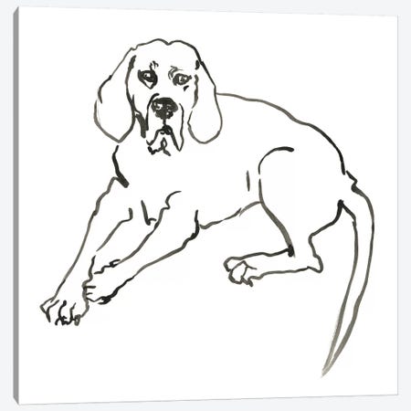 WAG: The Dog III Canvas Print #VBI5} by Vanessa Binder Canvas Wall Art