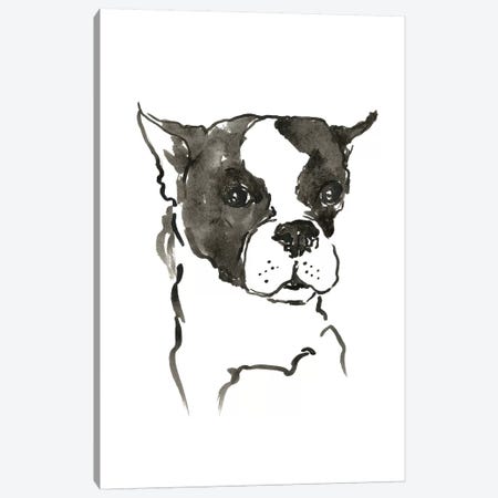 WAG: The Dog V Canvas Print #VBI7} by Vanessa Binder Canvas Artwork
