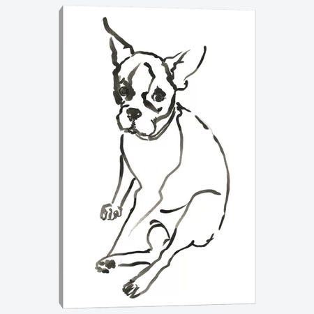 WAG: The Dog VI Canvas Print #VBI8} by Vanessa Binder Canvas Print