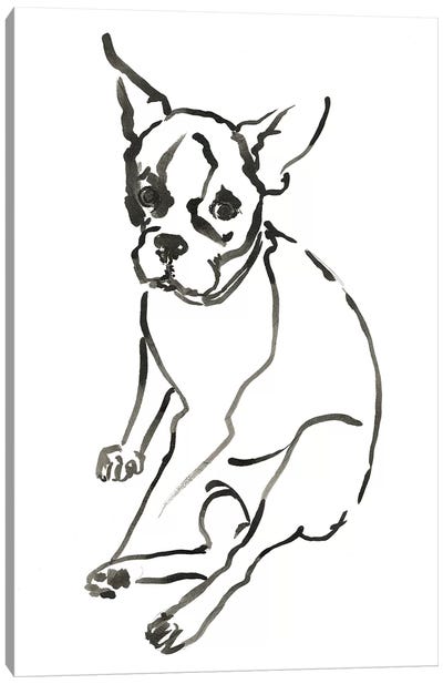 WAG: The Dog VI Canvas Art Print