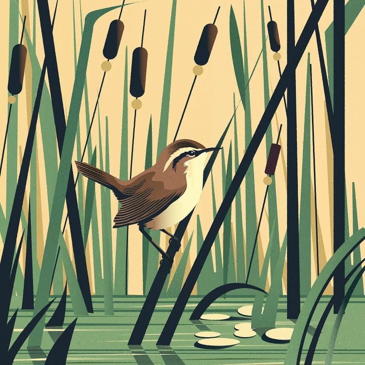 Marshland Melody by Sterre Verbokkem wall art