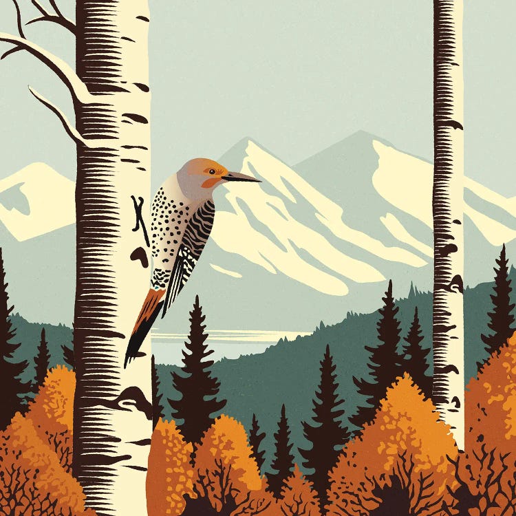 Aspen Echoes