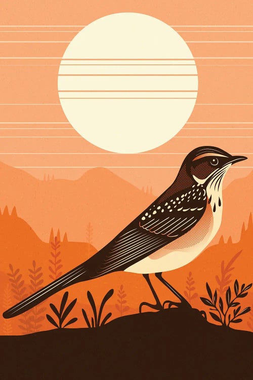 Summer Singer