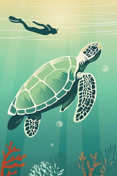 Sterre Verbokkem: Silent Explorers by Sterre Verbokkem