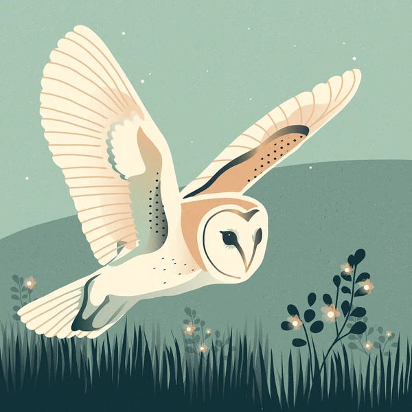 Sterre Verbokkem: Moonlit Meadows by Sterre Verbokkem