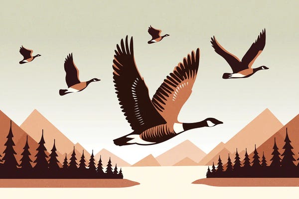 Sterre Verbokkem: The Way Home by Sterre Verbokkem