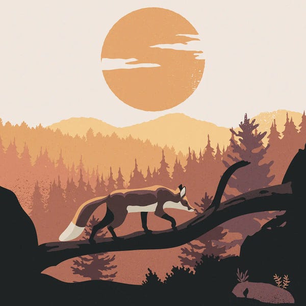 Sterre Verbokkem: Sunset Stroll by Sterre Verbokkem