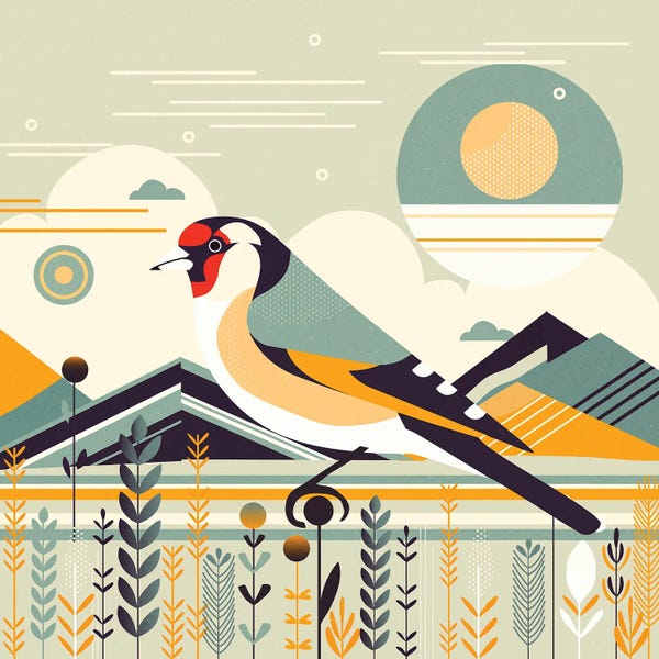 Sterre Verbokkem: Goldfinch by Sterre Verbokkem