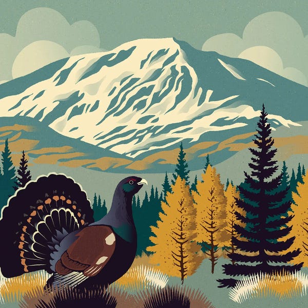 Sterre Verbokkem: Highlands With Capercaillie by Sterre Verbokkem
