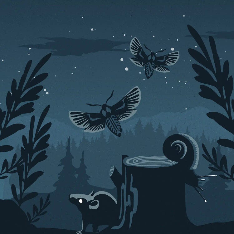 Night Creatures by Sterre Verbokkem wall art