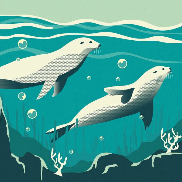 Sterre Verbokkem: Silent Swimmers by Sterre Verbokkem