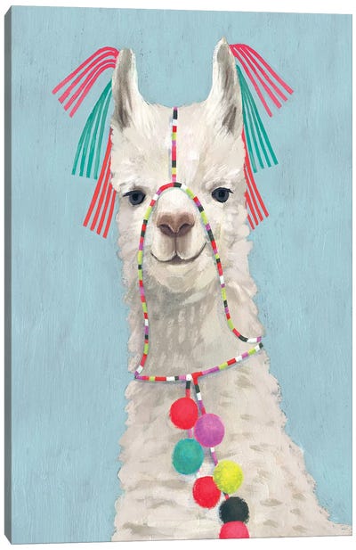 Adorned Llama II Canvas Art Print - Humor Art